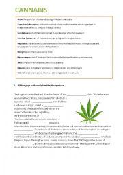 English Worksheet: drugs