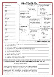 English Worksheet: plurals