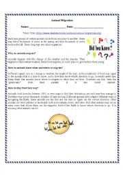 English Worksheet: Animal migration. Reading Comprehension