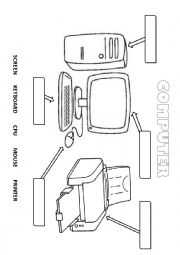 English Worksheet: Computer