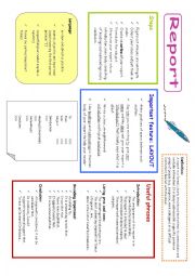 English Worksheet: Report