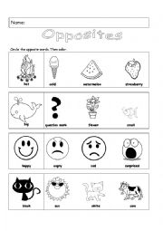 English Worksheet: Opposites