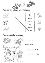 English Worksheet: Spring Vocabulary for Juniors