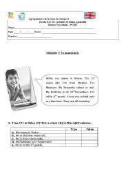 English Worksheet: Test for begginners