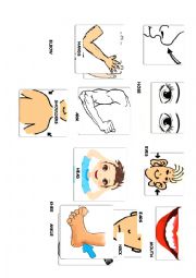 Body Parts Flash Cards