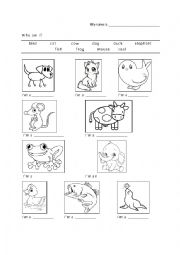 English Worksheet: Worksheet for the song What does the fox say? by Yilvis