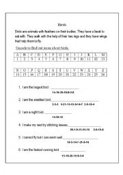 English Worksheet: facts about birds