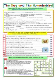 English Worksheet: The Dog and the Hummingbird