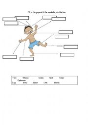 English Worksheet: Parts of the Body