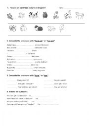 English Worksheet: Pets