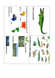 English Worksheet: Memory game Part 1 (CROCODILES)