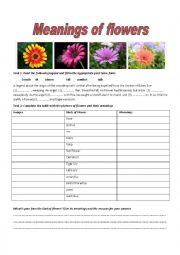 English Worksheet: Meaning of the flowers
