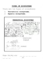 English Worksheet: types of ecosystems and food chains