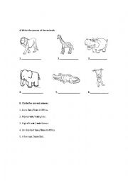 English Worksheet: african animals