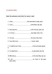 English Worksheet: homophones