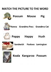 English Worksheet: Possum Magic
