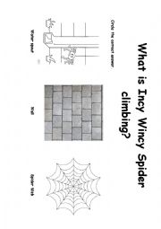 English Worksheet: What is Incy Wincy Spider climbing?