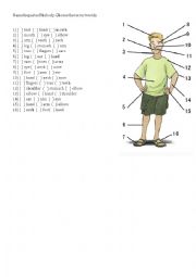 English Worksheet: Name the parts of the body