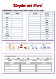 English Worksheet: singular and plural