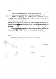 English Worksheet: Describing animals