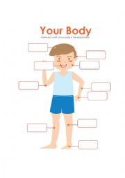 English Worksheet: Parts human body