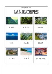 English Worksheet: BINGO - LANDSCAPES 1