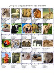 ANIMAL DESCRIPTION BODY PARTS MULTIPLE CHOICE