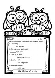 English Worksheet: his- hers