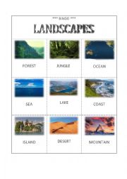 English Worksheet: BINGO - LANDSCAPES 2