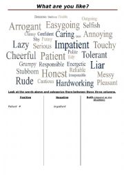 English Worksheet: What are you like ?