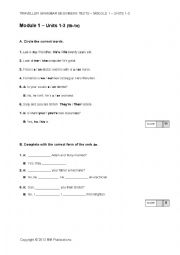 English Worksheet: Travellers Beginners Test 1