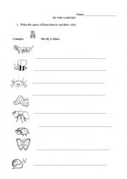 English Worksheet: Insects