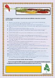 English Worksheet: Herbs and Spices2