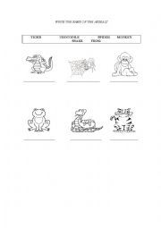 English Worksheet: JUNGLE ANIMALS