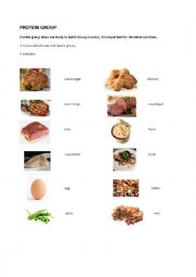 EXPLORING FOOD :PROTEINS GROUP