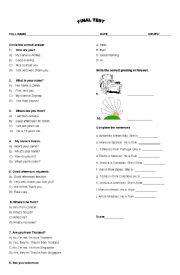 English Worksheet: TEST, Where are you from, Countries and Nationalities