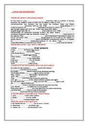 English Worksheet: Language excercises