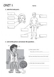 English Worksheet: body parts, systems and senses Exam