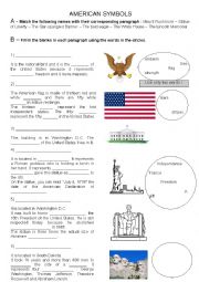 USA SYMBOLS