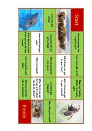 English Worksheet: Have got/has got 