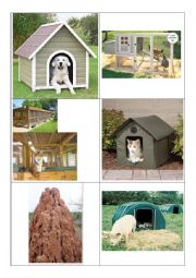 English Worksheet: Animal House Flash Cards 1