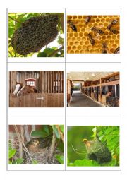 English Worksheet: Animal Houses - Flash Cards (Back to back printing)