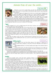 English Worksheet: Animals from all over the world