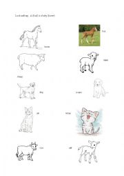 English Worksheet: Animals and their babies