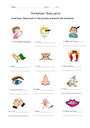 English Worksheet: Parts of the body