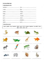 English Worksheet: Animals and their body