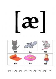 English Worksheet: Sound     [æ]     