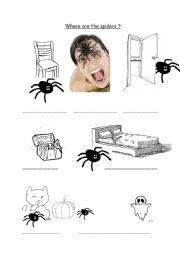 English Worksheet: Where are the spiders?