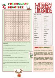 English Worksheet: Vocabulary Practice - Christmas