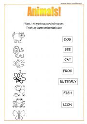 English Worksheet: ANIMALS